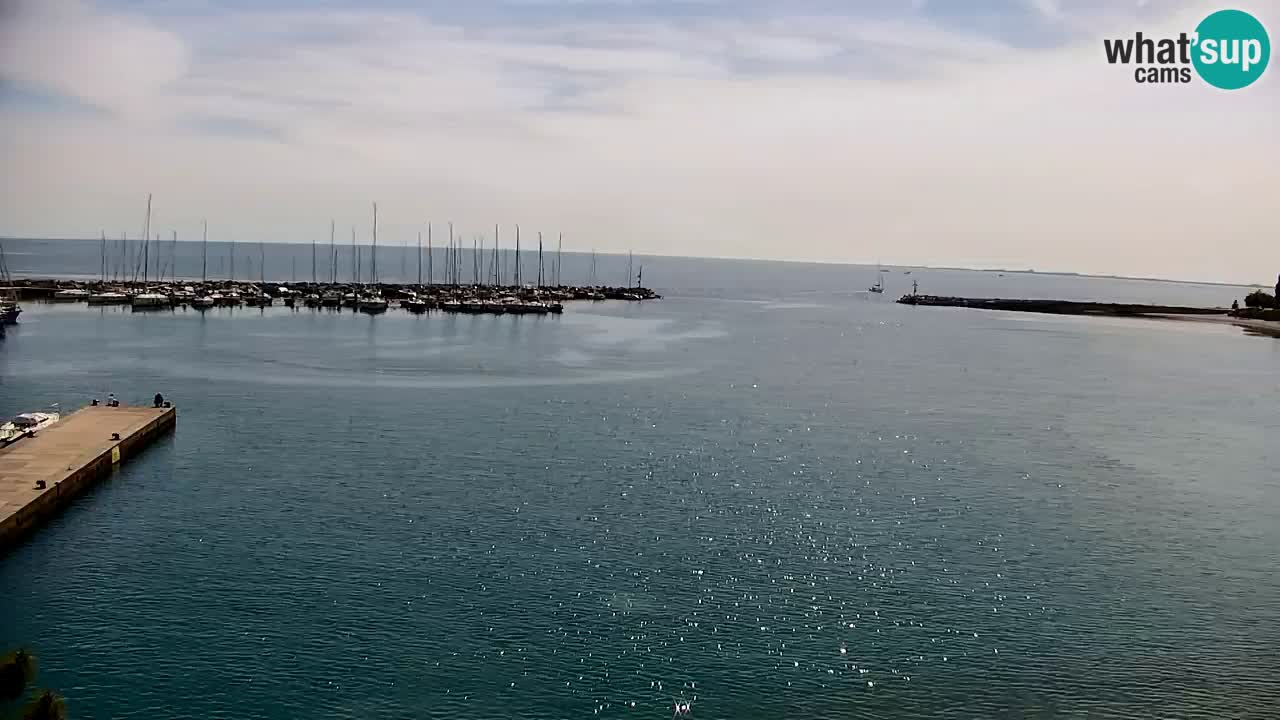 Webcam Sistiana – Vista sulla marina e sulla baia