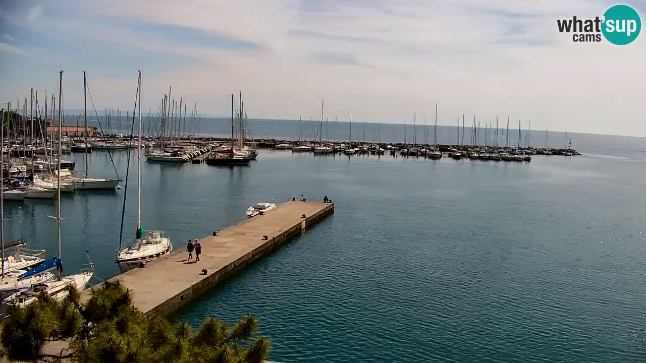Spletna kamera Sesljan (Sistiana) – Pogled na marino in zaliv