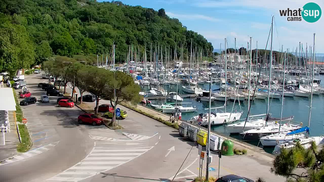 Webcam Sistiana – Marina and Bay Live View