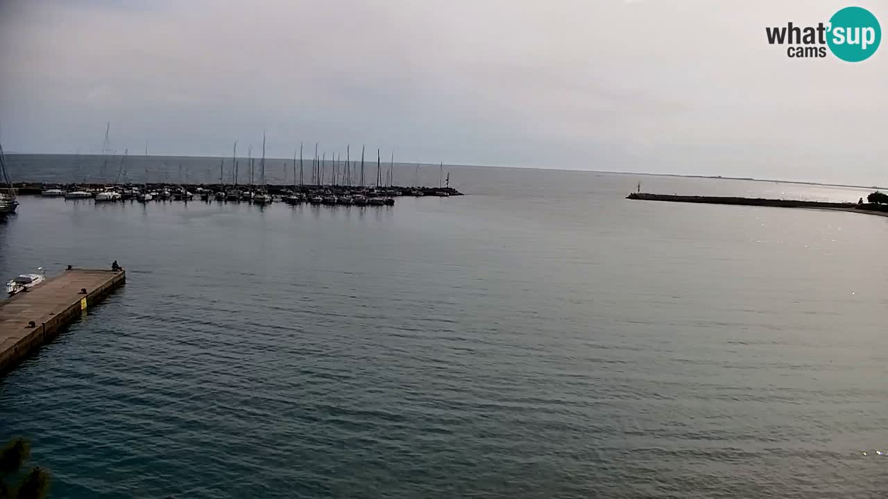 Webcam Sistiana – Pogled na marinu i zaljev