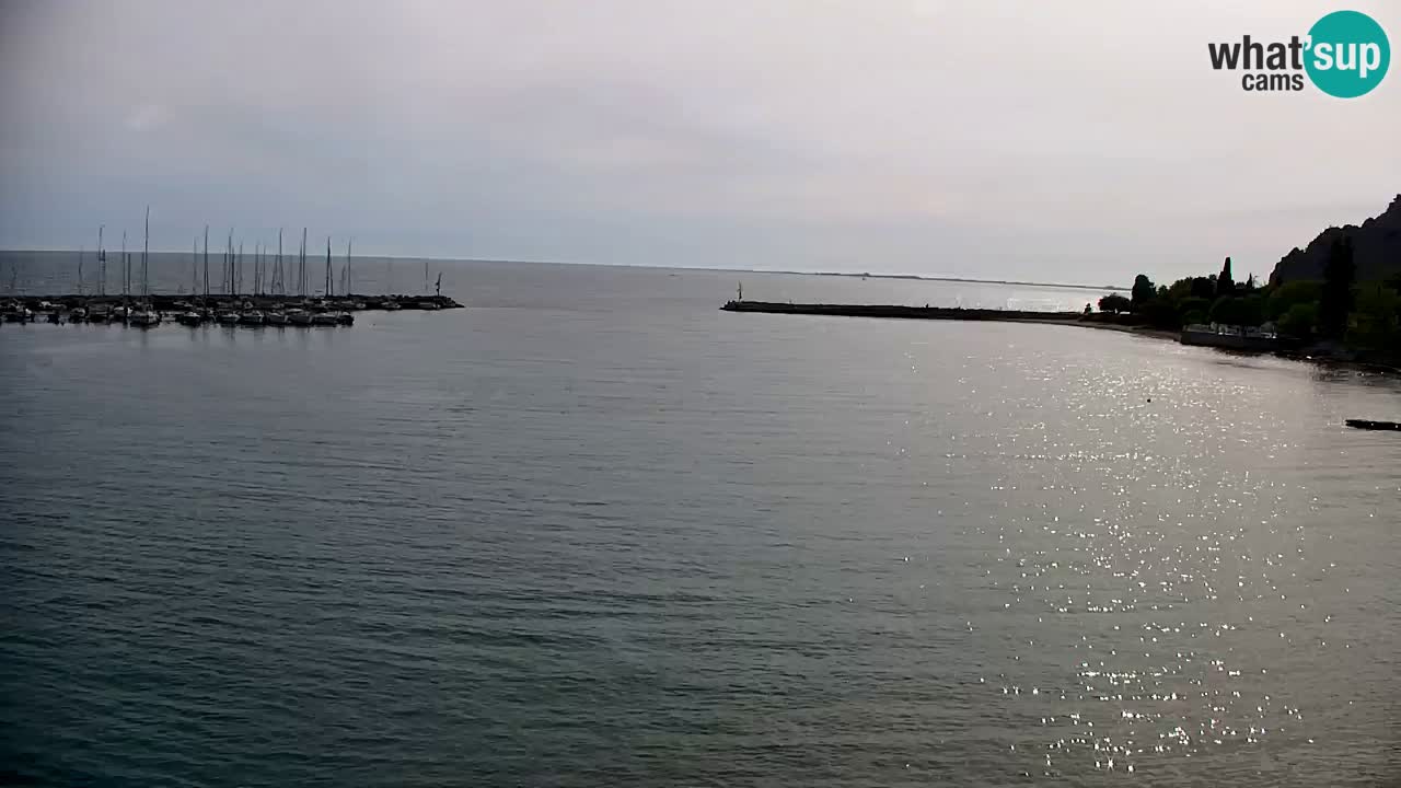 Webcam Sistiana – Blick auf Marina und Bucht