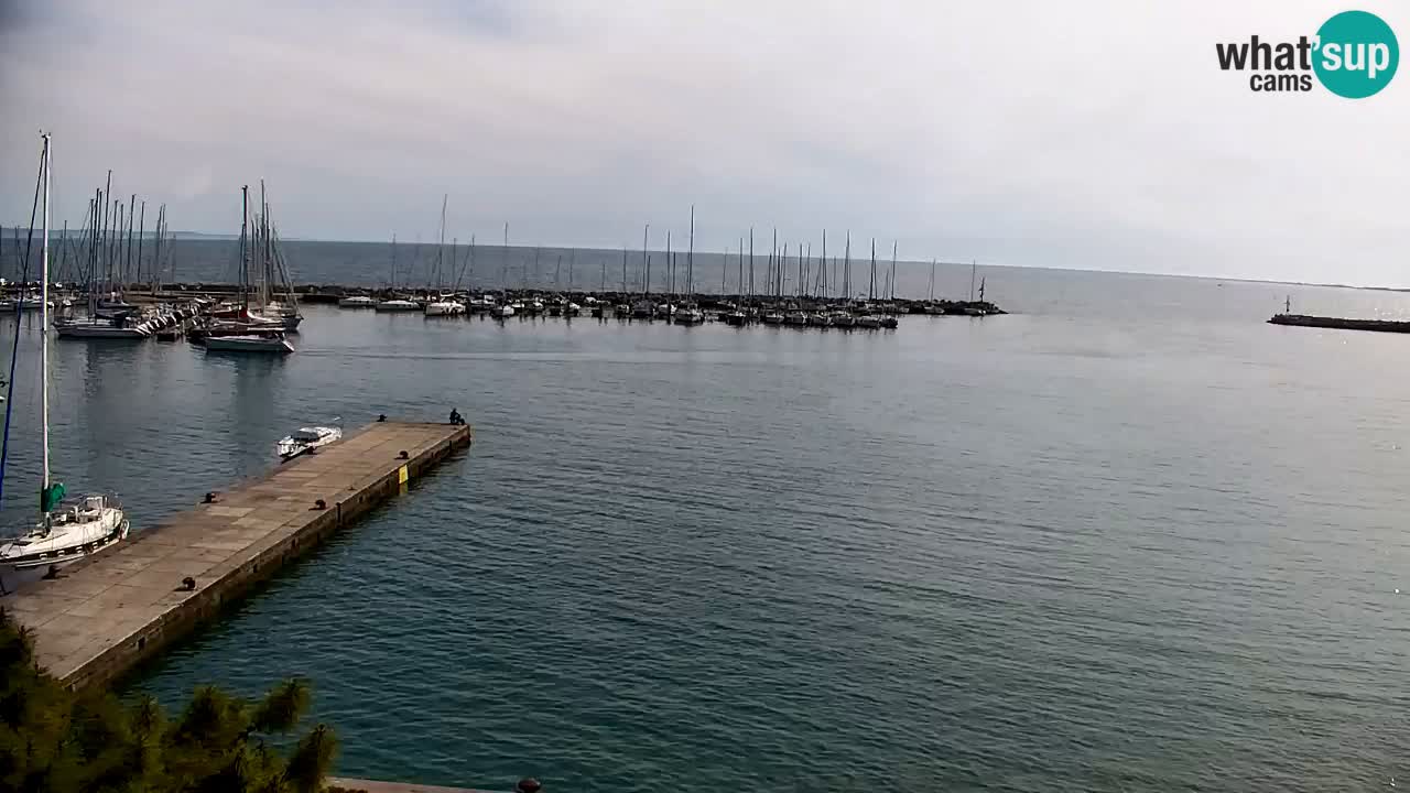 Webcam Sistiana – Pogled na marinu i zaljev