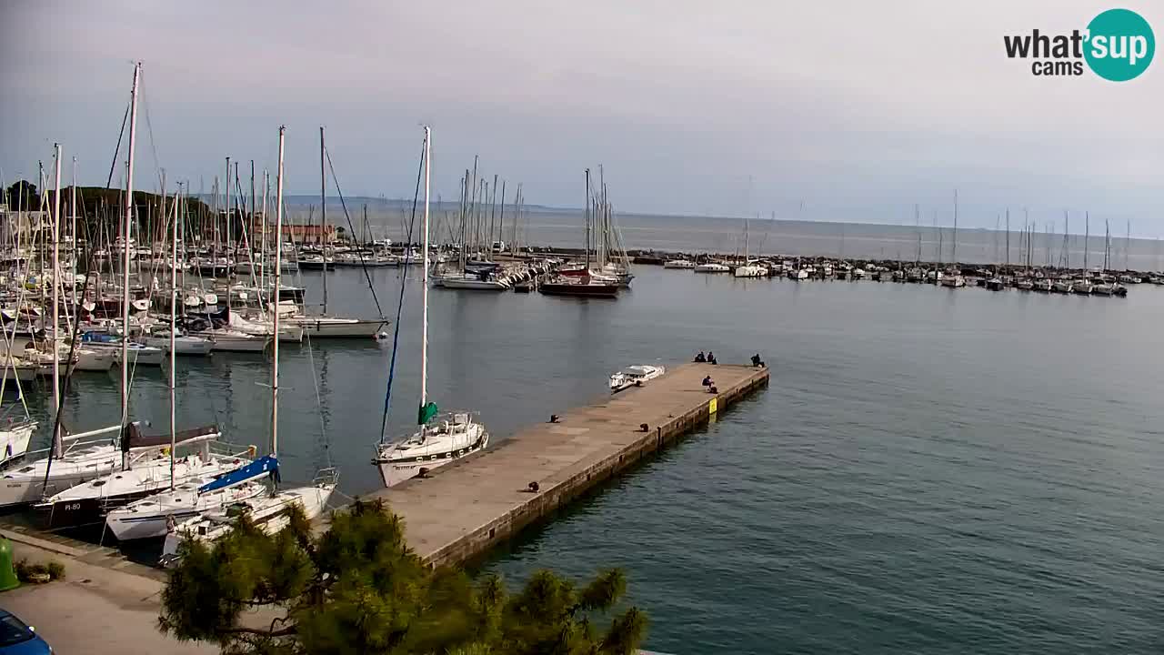 Webcam Sistiana – Marina and Bay Live View