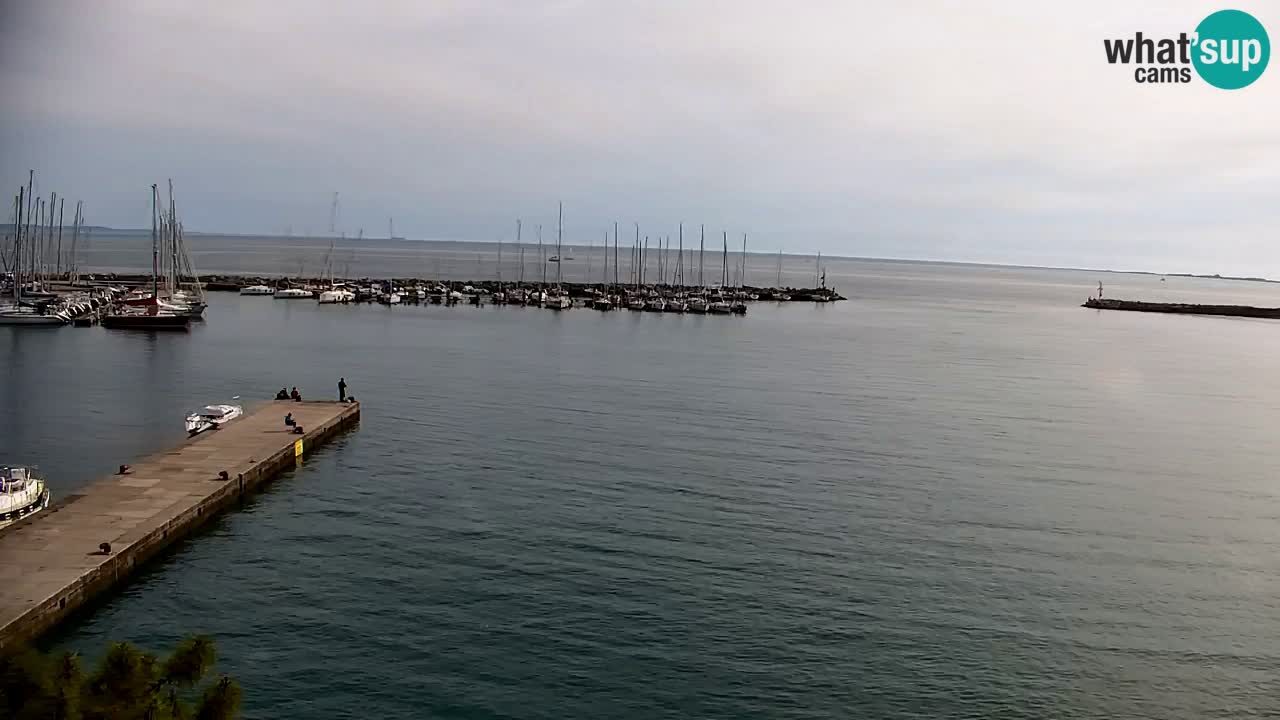 Webcam Sistiana – Marina and Bay Live View