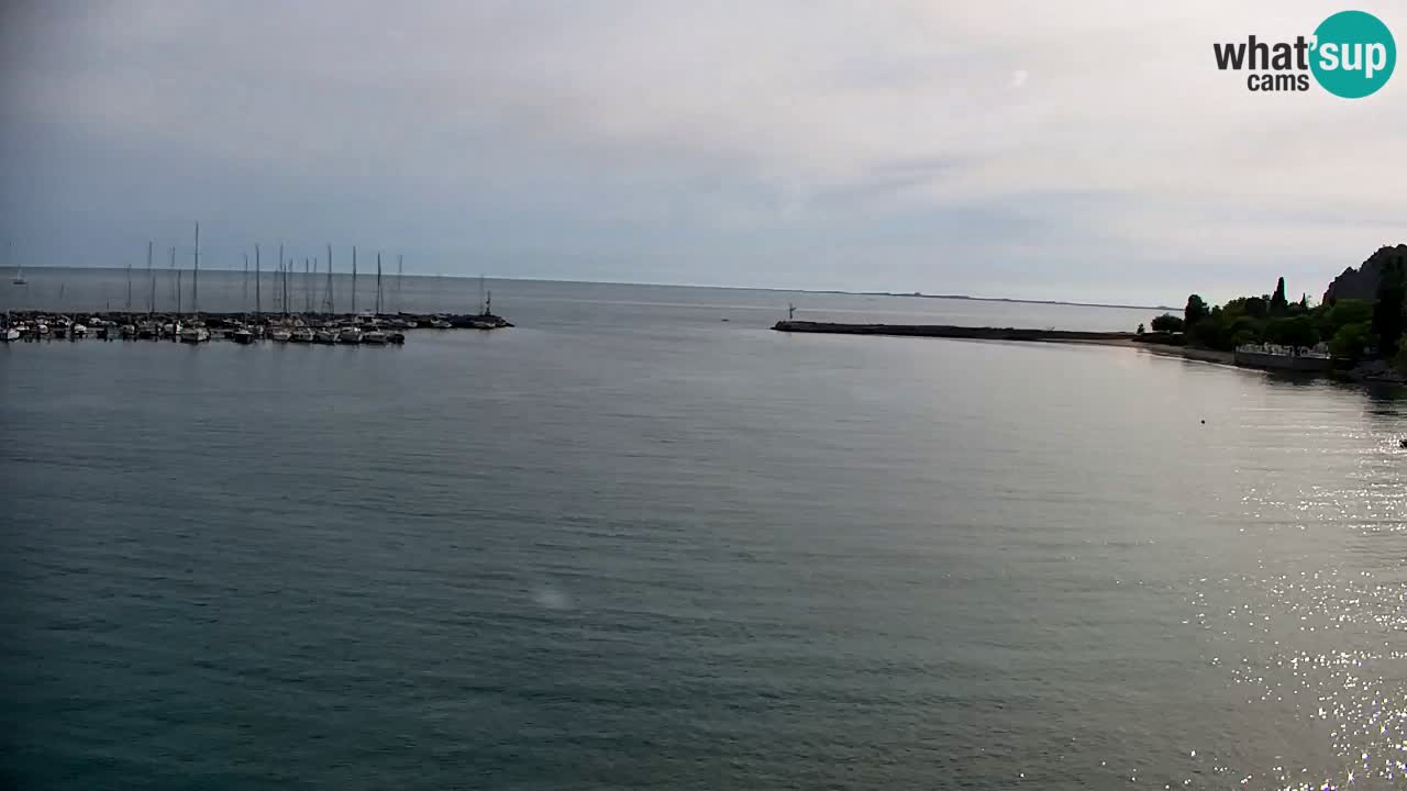 Webcam Sistiana – Vista sobre la marina y la bahía