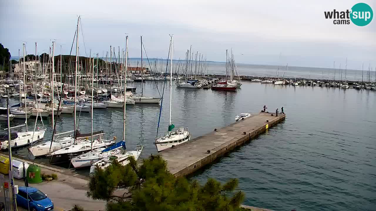 Webcam Sistiana – Blick auf Marina und Bucht