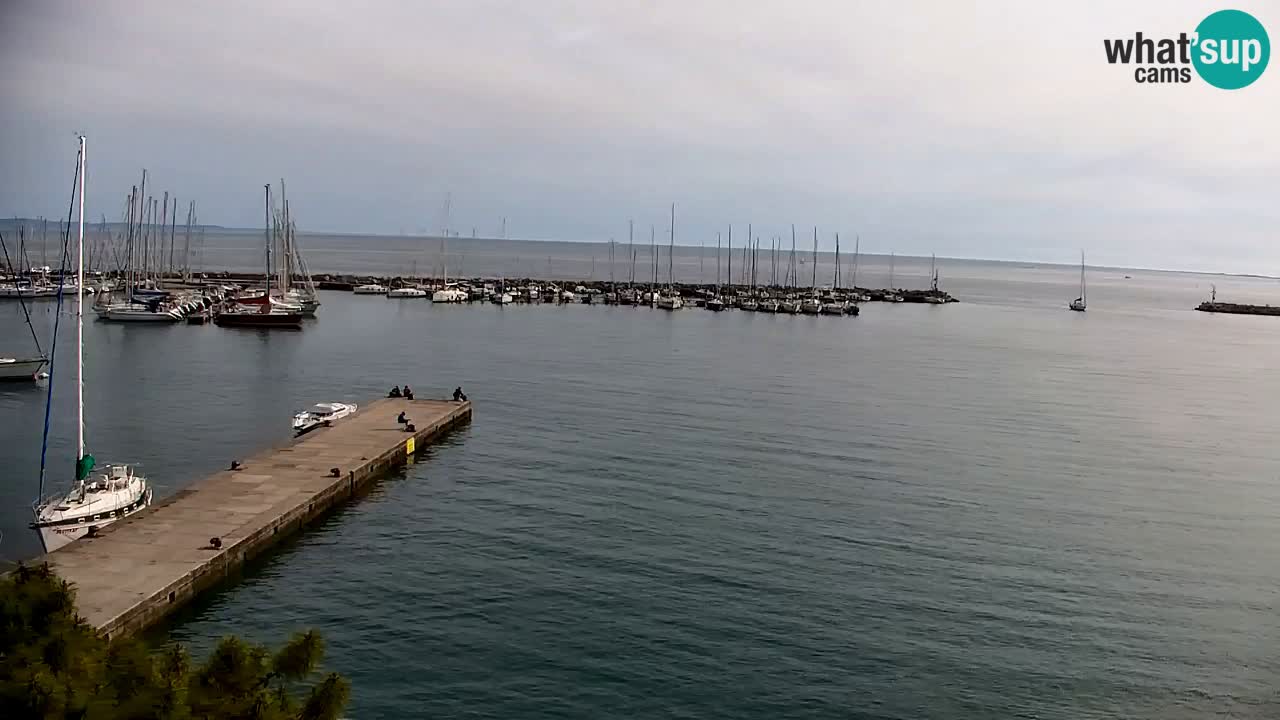 Webcam Sistiana – Marina and Bay Live View