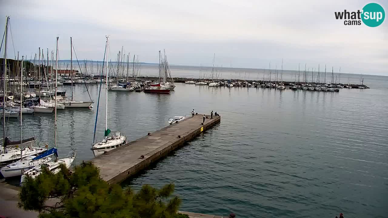 Webcam Sistiana – Vista sobre la marina y la bahía