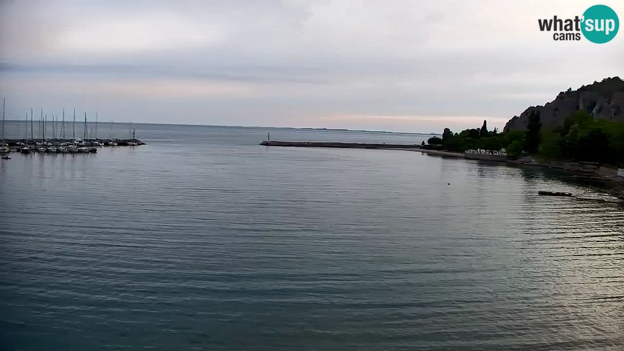 Webcam Sistiana – Pogled na marinu i zaljev