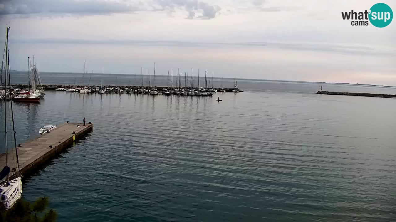 Webcam Sistiana – Pogled na marinu i zaljev