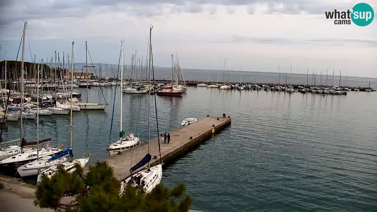 Webcam Sistiana – Vista sobre la marina y la bahía
