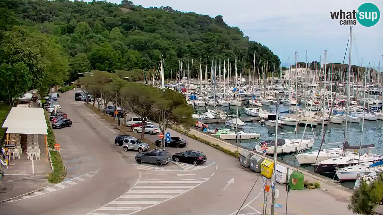 Webcam Sistiana – Pogled na marinu i zaljev