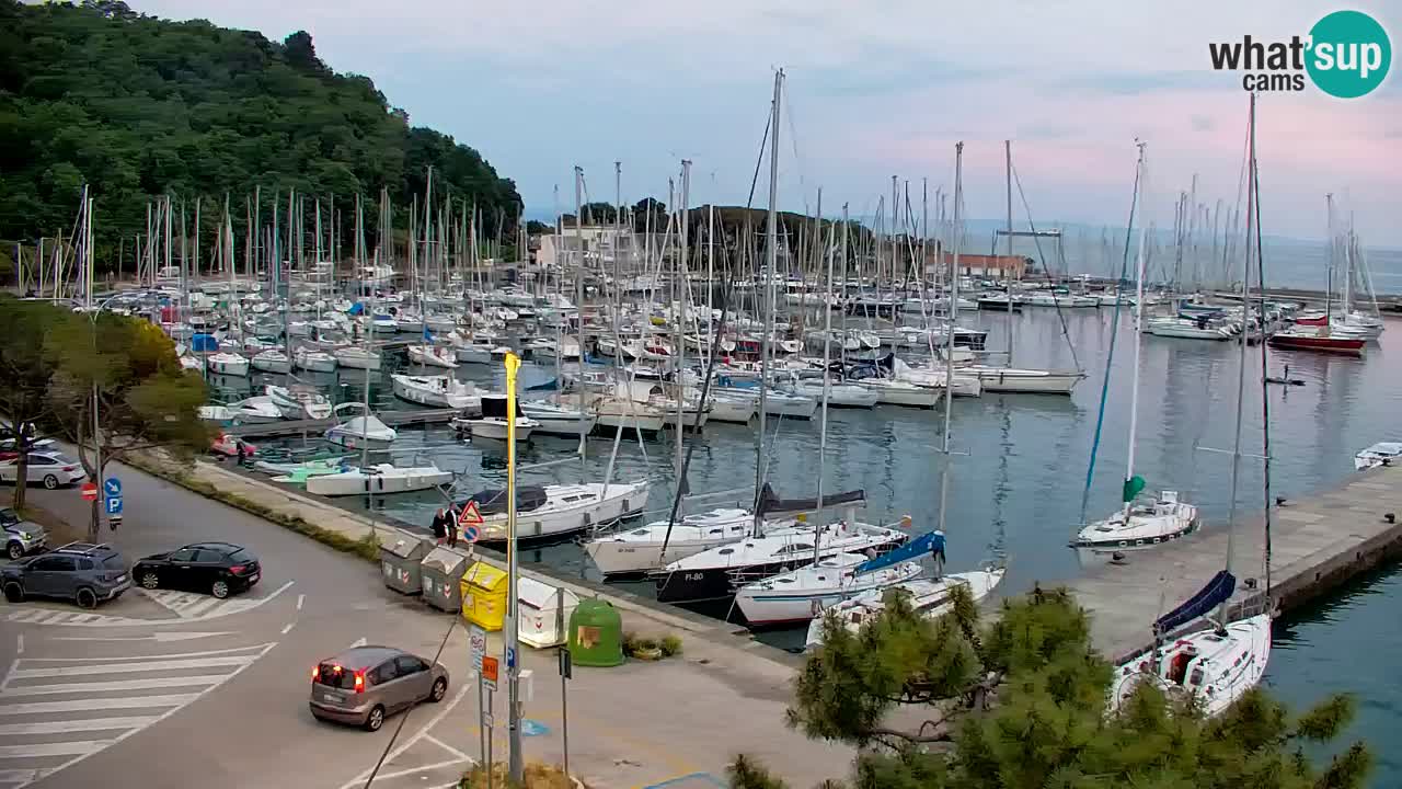 Webcam Sistiana – Marina and Bay Live View