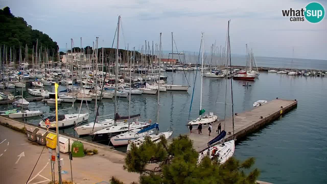 Webcam Sistiana – Marina and Bay Live View