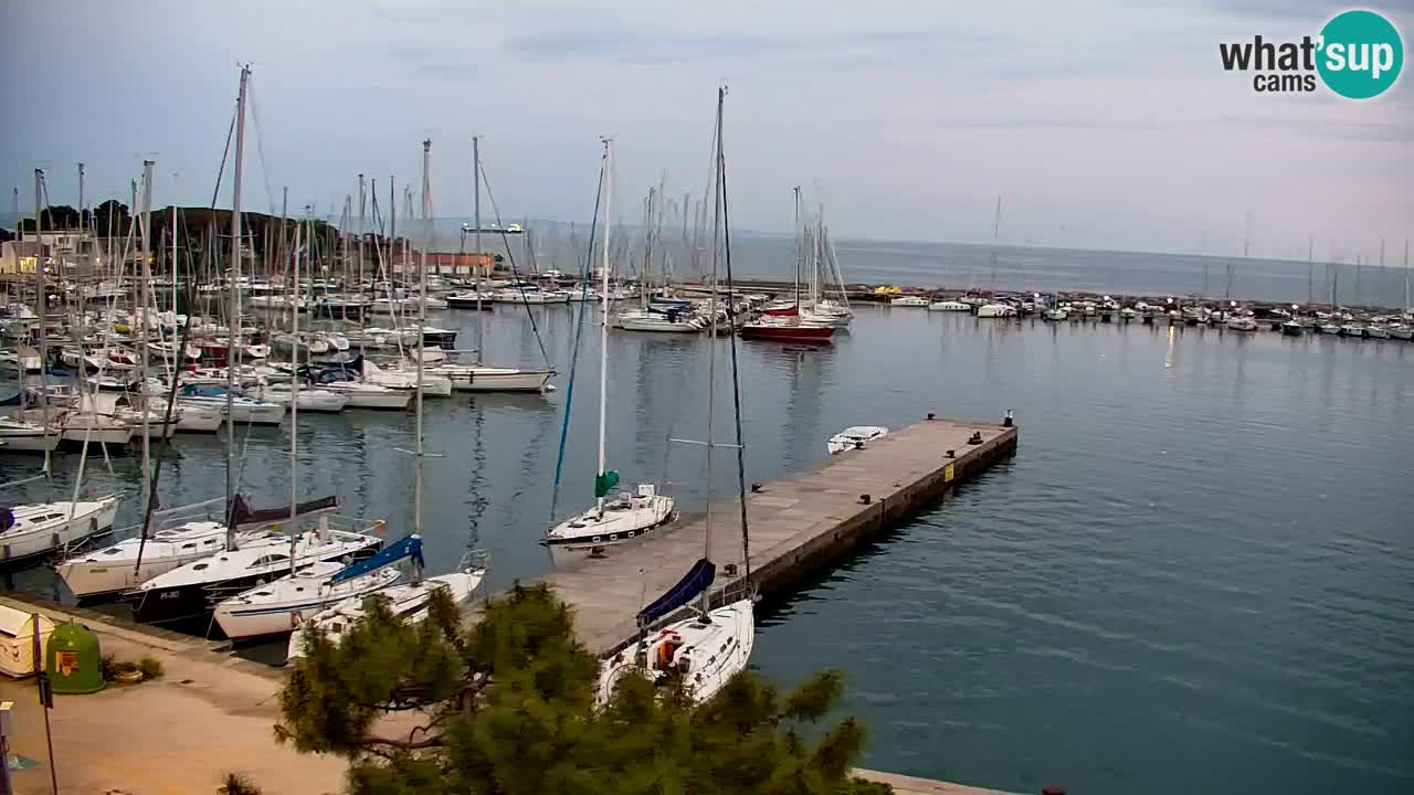 Spletna kamera Sesljan (Sistiana) – Pogled na marino in zaliv