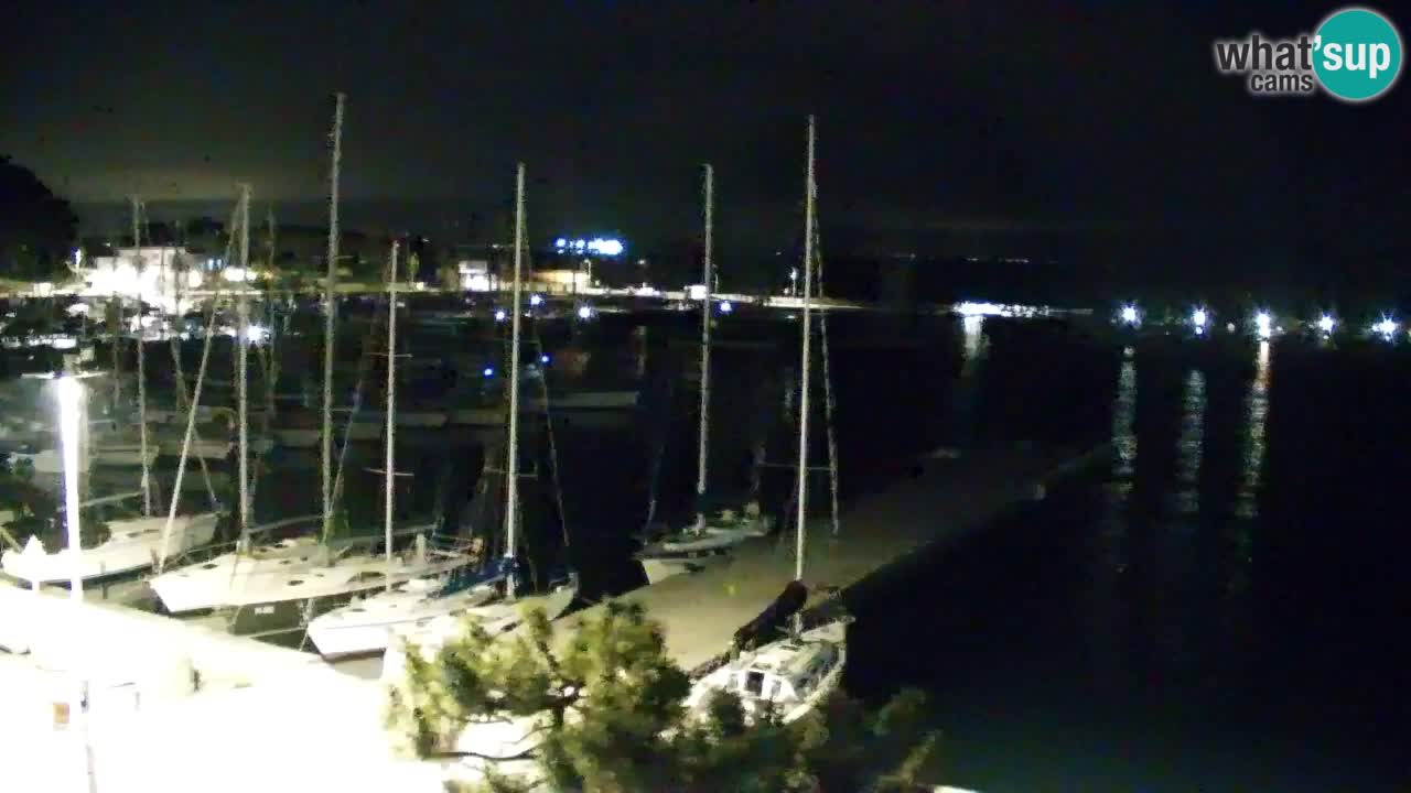 Webcam Sistiana – Marina and Bay Live View