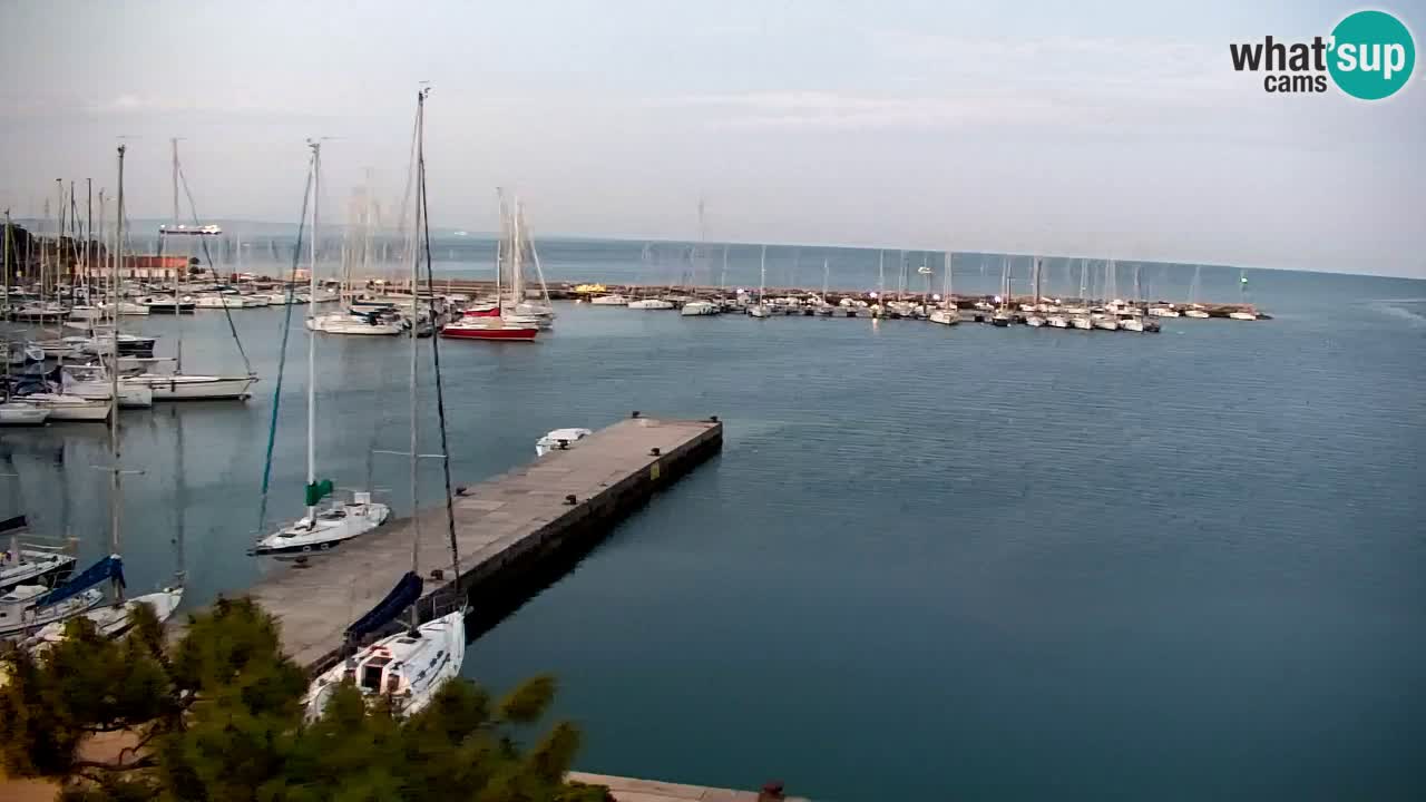 Webcam Sistiana – Marina and Bay Live View