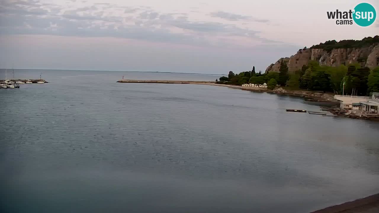 Webcam Sistiana – Blick auf Marina und Bucht