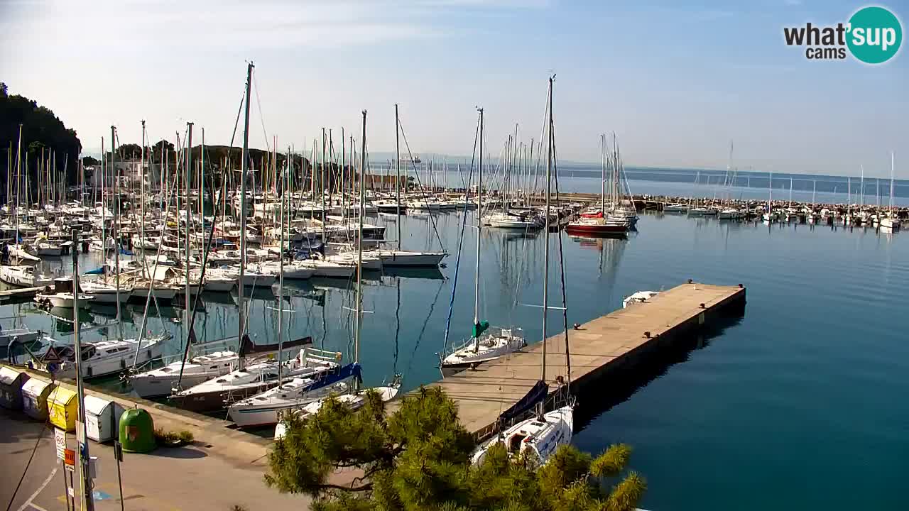 Webcam Sistiana – Vista sobre la marina y la bahía
