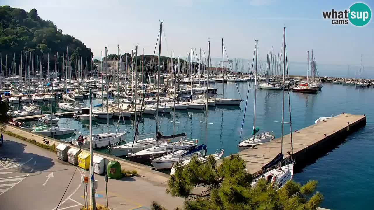 Webcam Sistiana – Marina and Bay Live View