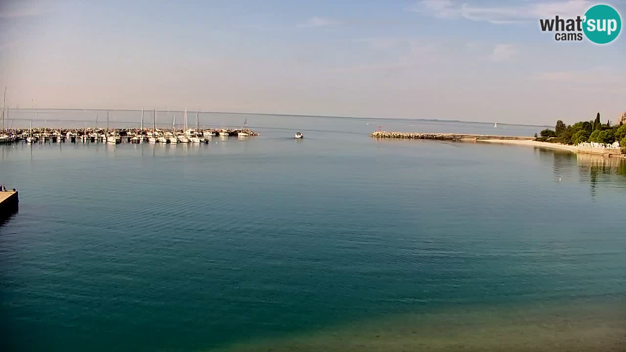 Webcam Sistiana – Vista sulla marina e sulla baia
