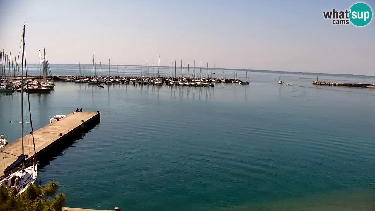 Webcam Sistiana – Pogled na marinu i zaljev