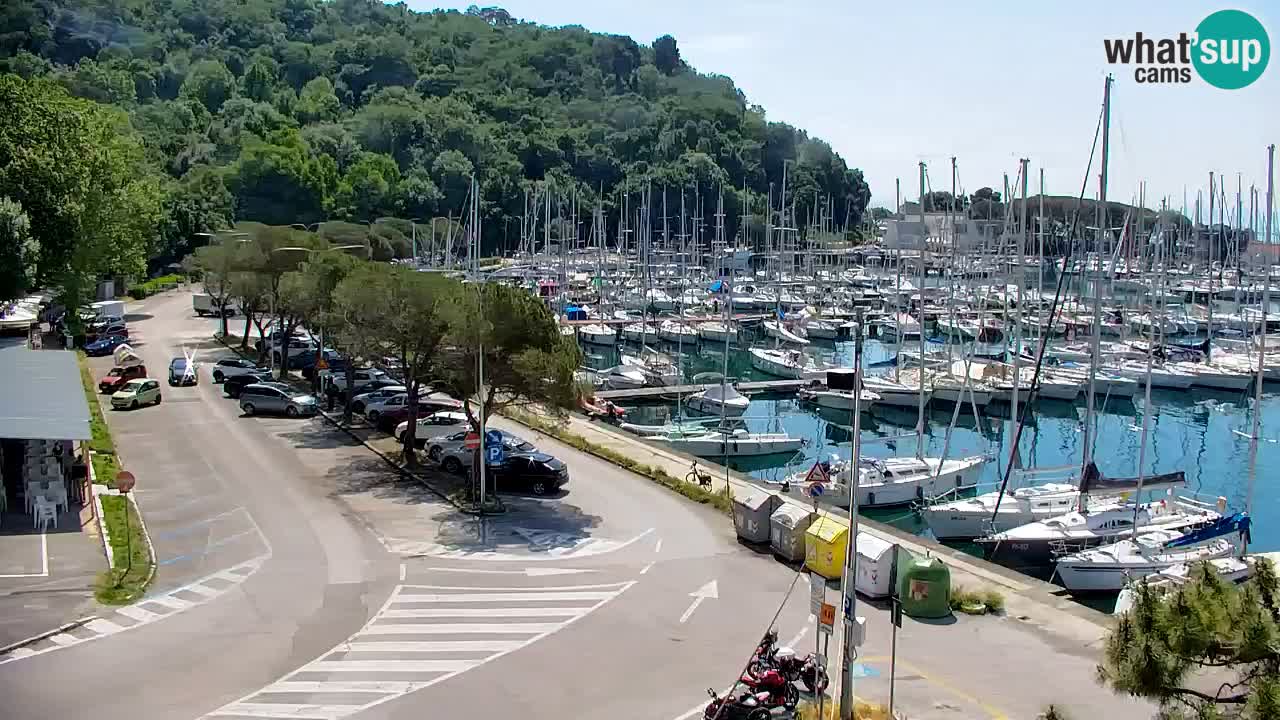 Webcam Sistiana – Marina and Bay Live View