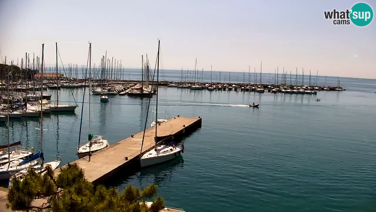 Webcam Sistiana – Marina and Bay Live View