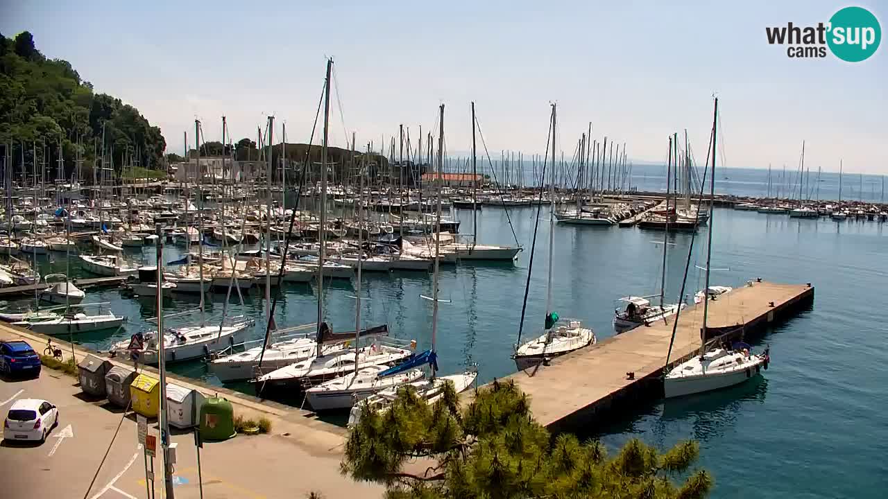 Webcam Sistiana – Pogled na marinu i zaljev
