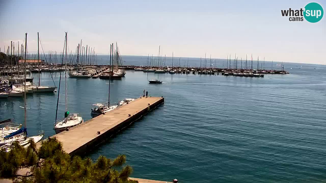 Webcam Sistiana – Pogled na marinu i zaljev