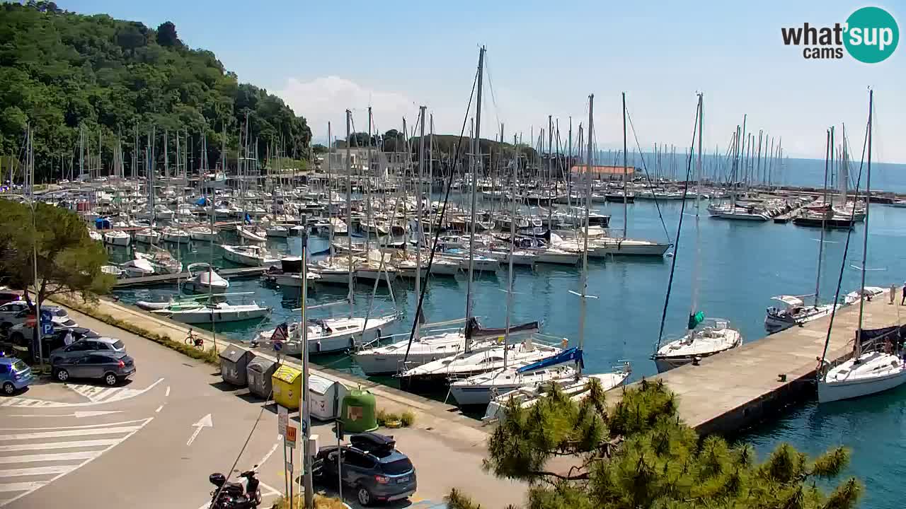 Spletna kamera Sesljan (Sistiana) – Pogled na marino in zaliv
