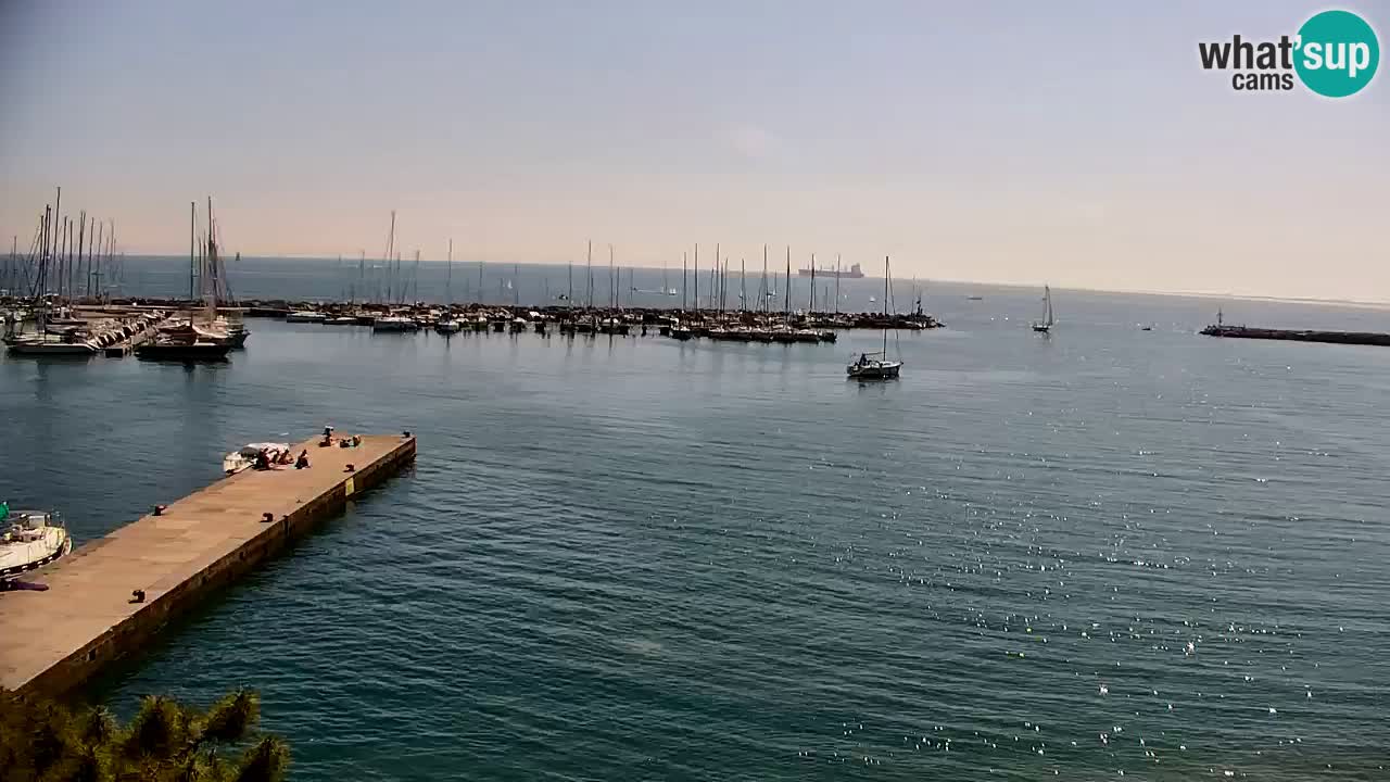 Webcam Sistiana – Pogled na marinu i zaljev