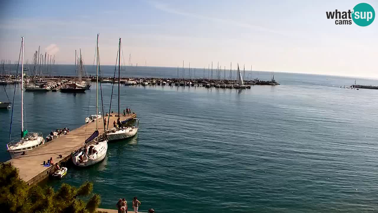 Webcam Sistiana – Pogled na marinu i zaljev