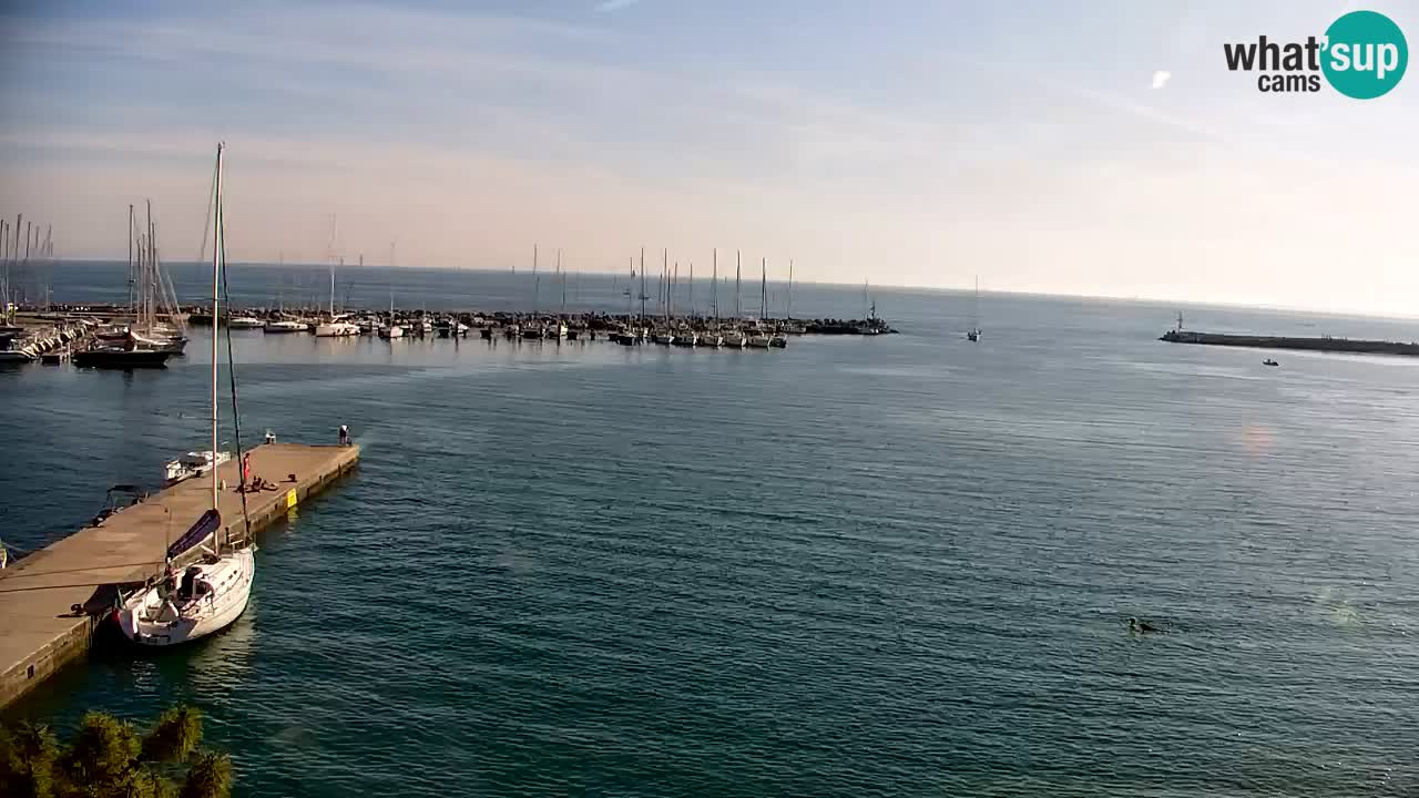 Webcam Sistiana – Marina and Bay Live View