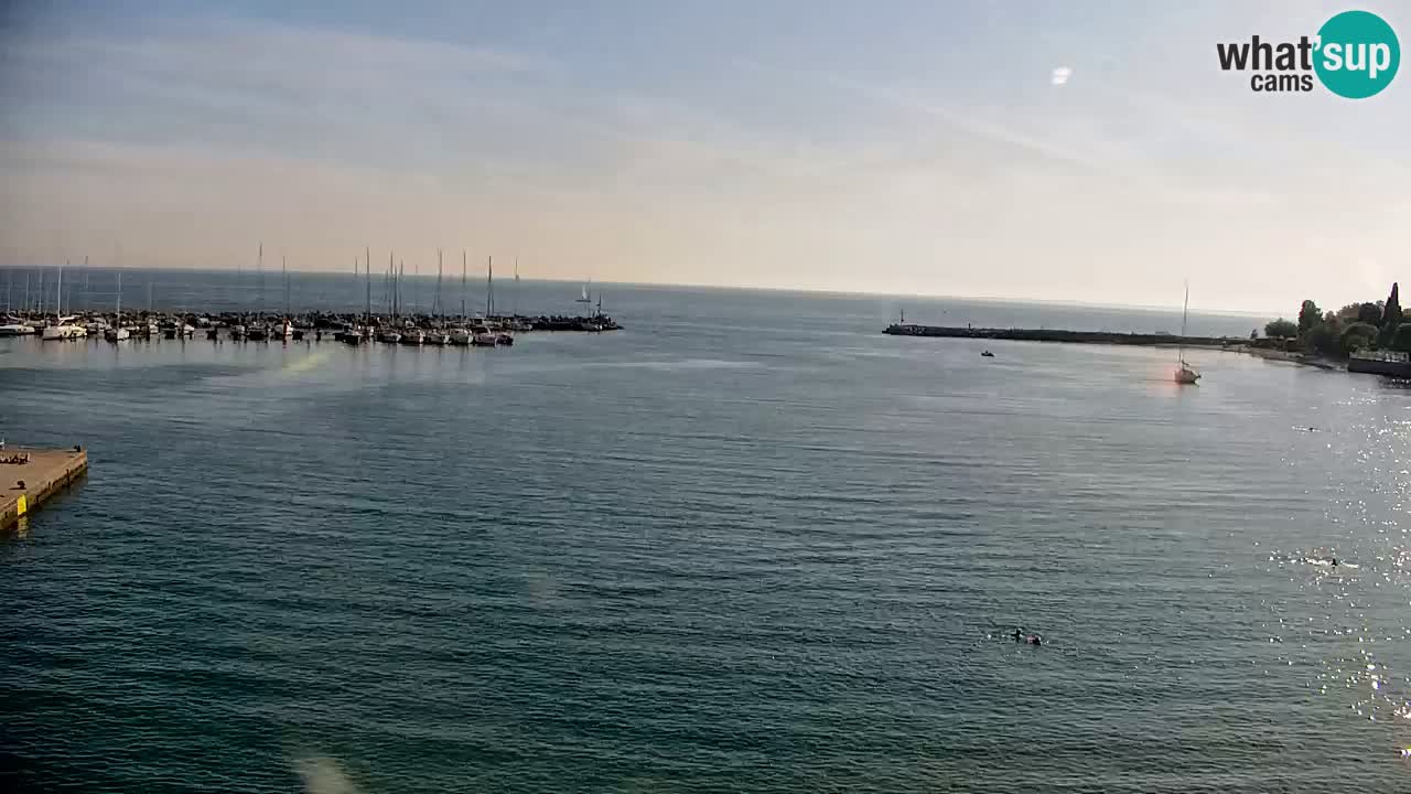 Webcam Sistiana – Blick auf Marina und Bucht