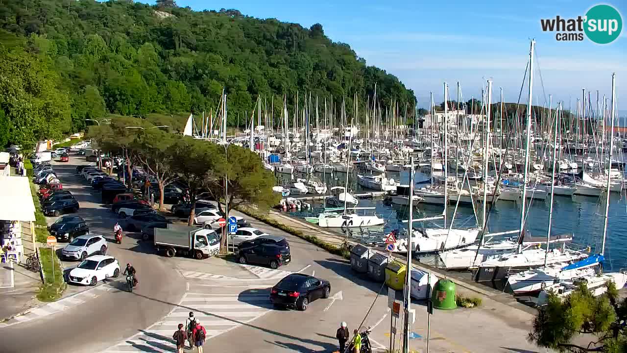 Webcam Sistiana – Marina and Bay Live View