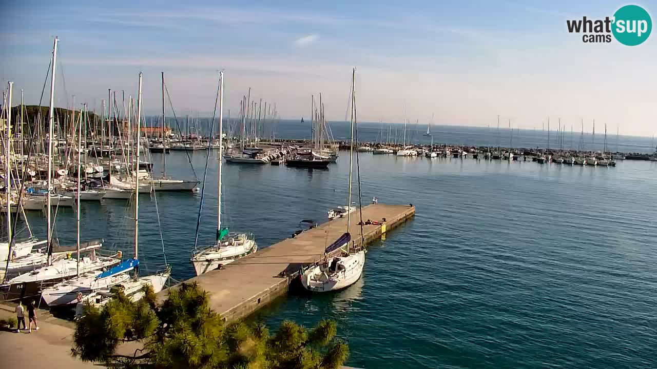 Webcam Sistiana – Pogled na marinu i zaljev