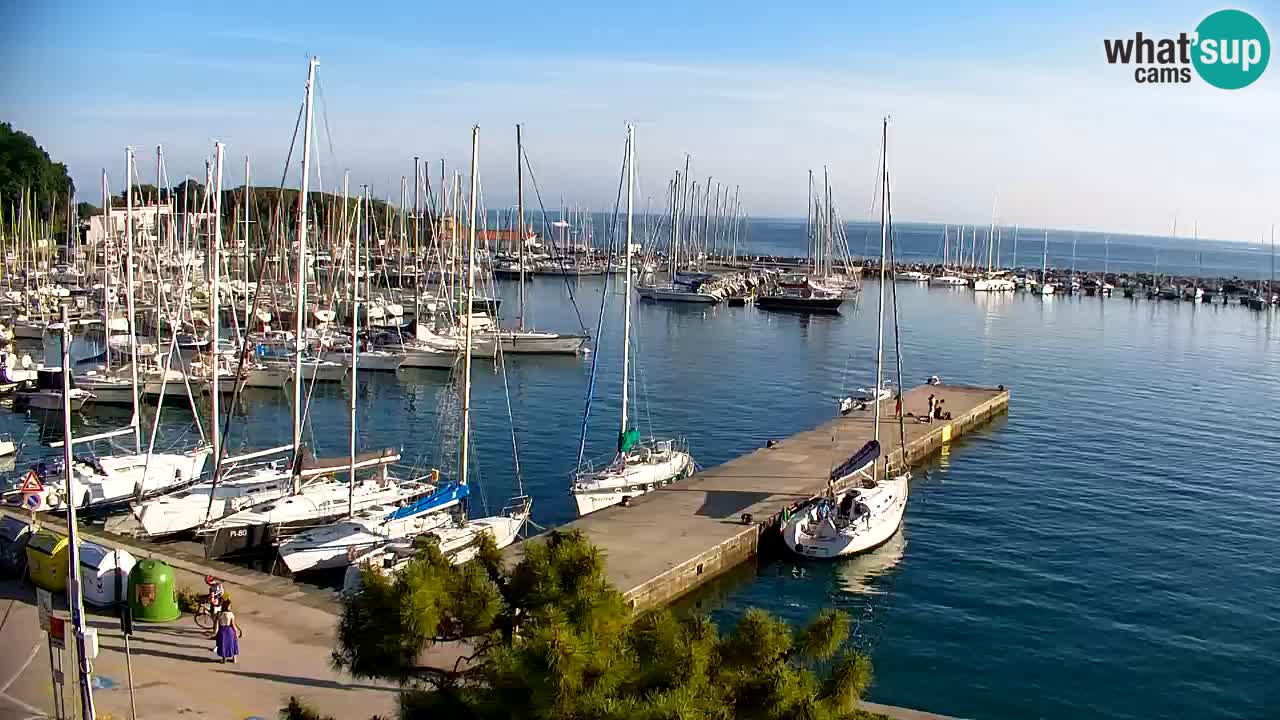 Webcam Sistiana – Pogled na marinu i zaljev