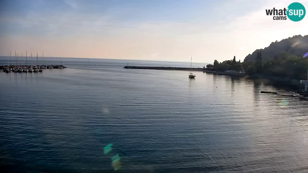 Webcam Sistiana – Pogled na marinu i zaljev