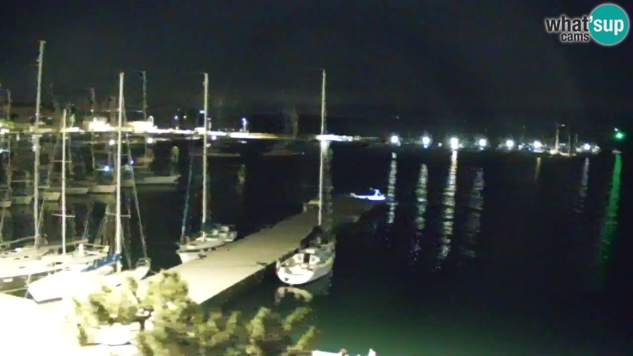 Webcam Sistiana – Pogled na marinu i zaljev