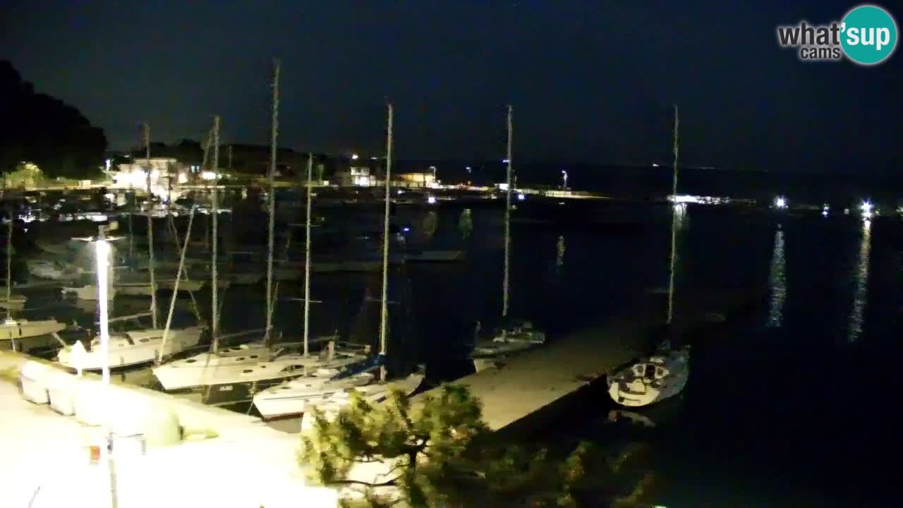 Spletna kamera Sesljan (Sistiana) – Pogled na marino in zaliv