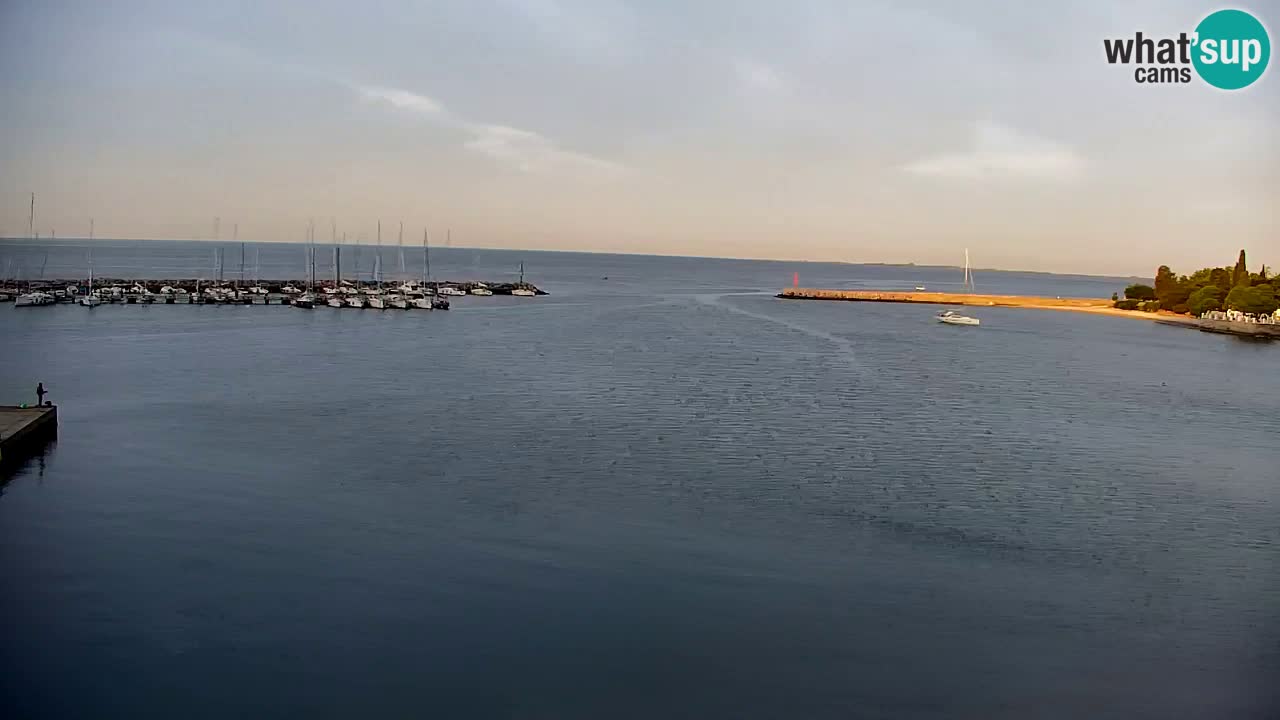 Webcam Sistiana – Vue sur la marina et la baie