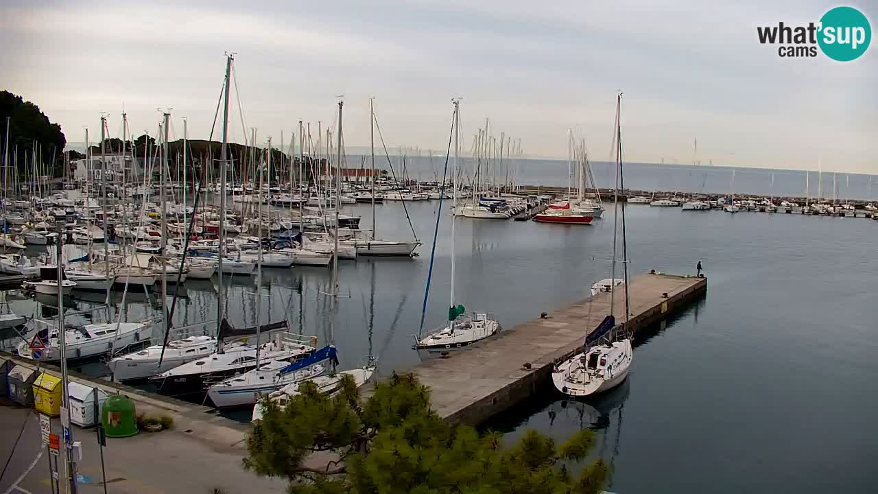 Webcam Sistiana – Pogled na marinu i zaljev