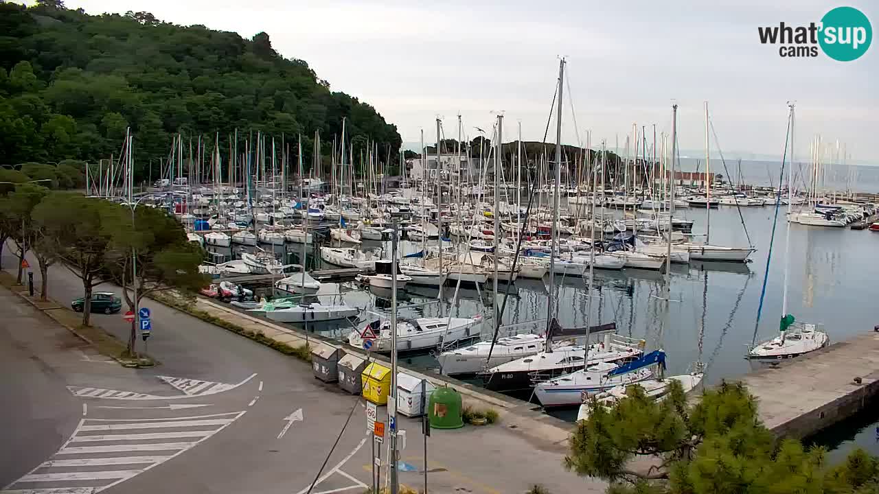 Webcam Sistiana – Pogled na marinu i zaljev