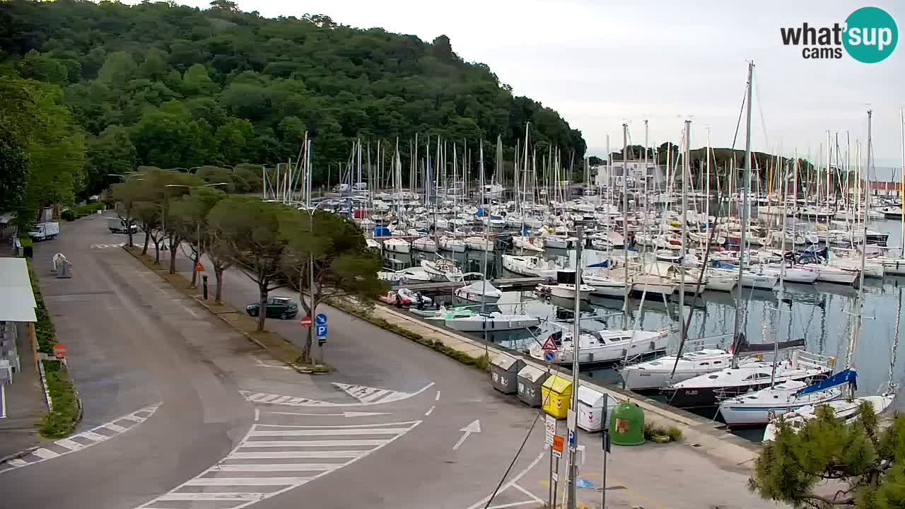Webcam Sistiana – Marina and Bay Live View