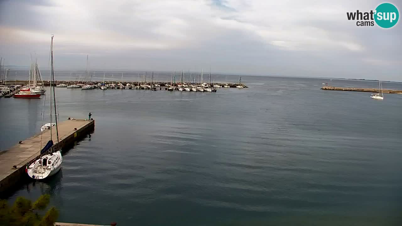 Webcam Sistiana – Vista sulla marina e sulla baia