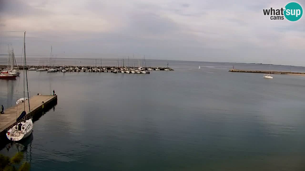 Webcam Sistiana – Marina and Bay Live View