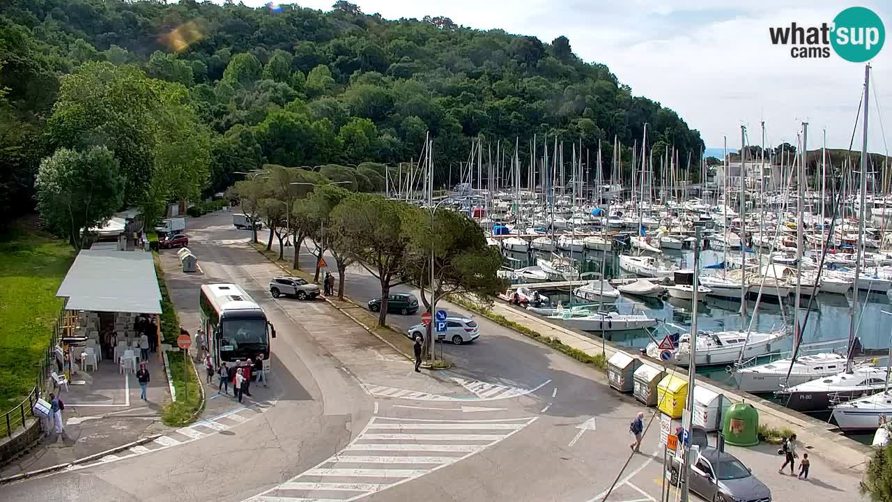 Webcam Sistiana – Marina and Bay Live View