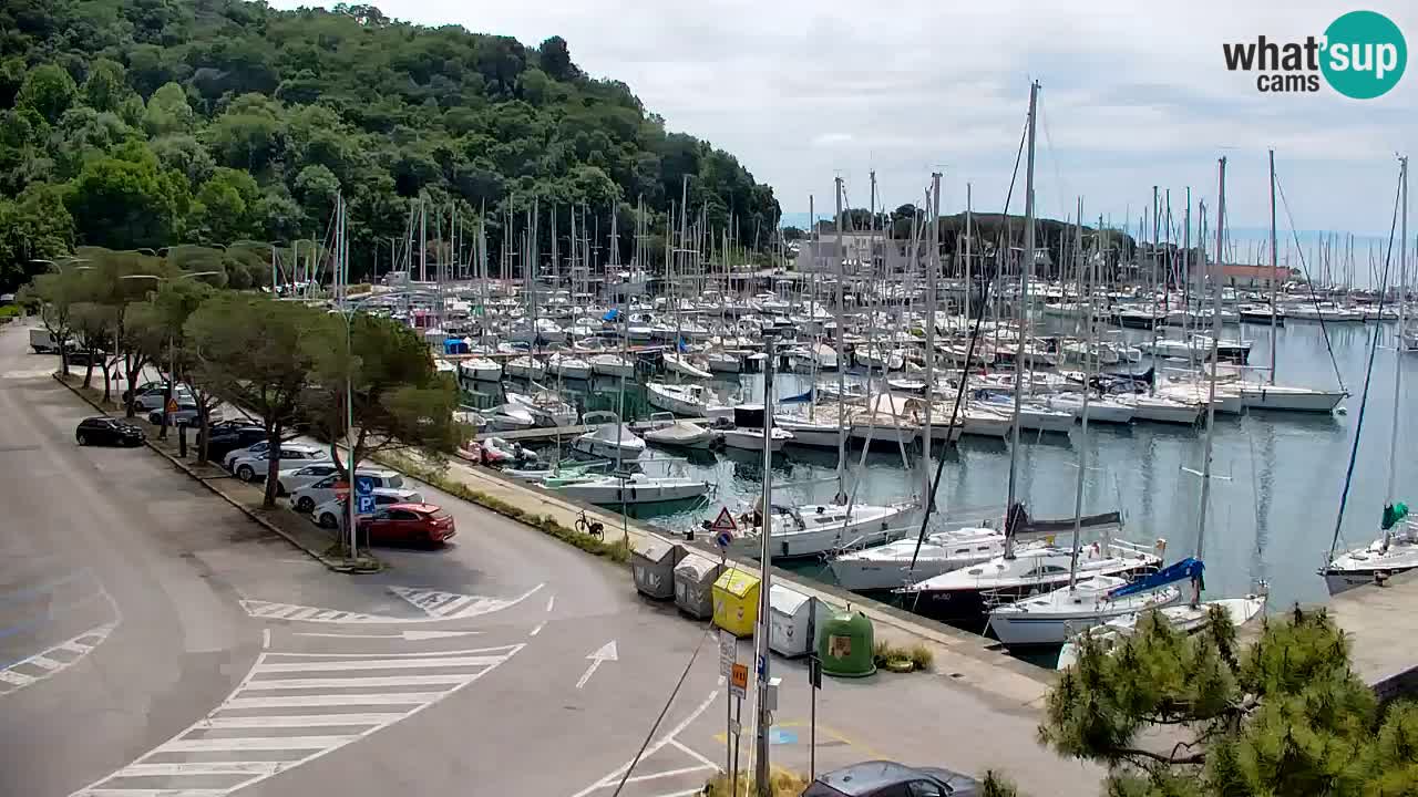 Webcam Sistiana – Marina and Bay Live View