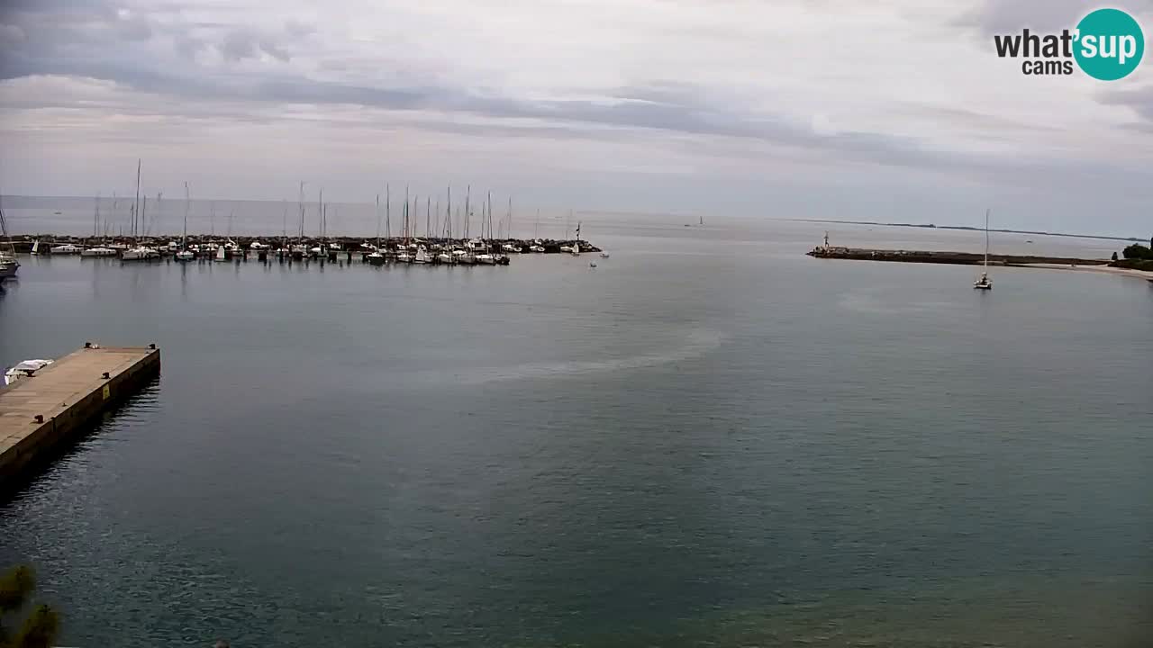 Webcam Sistiana – Marina and Bay Live View